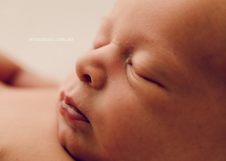 winni mini newborn baby babies older birth maternity family families photography photographer photo photos tanha basile winni mini Gold Coast ayla-1