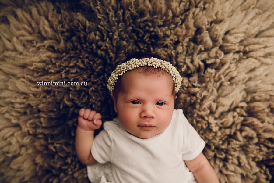baby maternity family gold coast brisbane newborn baby babies family child families photographer photography photographs photo photographer winni mini tanha basile photo the best amazing upper coomera birth
