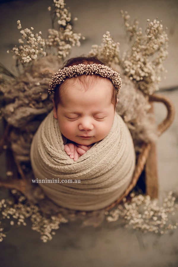 baby maternity family gold coast brisbane newborn baby babies family child families photographer photography photographs photo photographer winni mini tanha basile photo the best amazing upper coomera birth