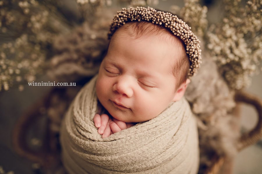 baby maternity family gold coast brisbane newborn baby babies family child families photographer photography photographs photo photographer winni mini tanha basile photo the best amazing upper coomera birth