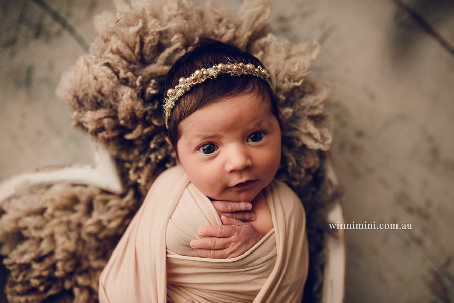 gold coast brisbane newborn baby babies family child families photographer photography photographs photo photographer winni mini tanha basile photo the best amazing upper coomera birth baby