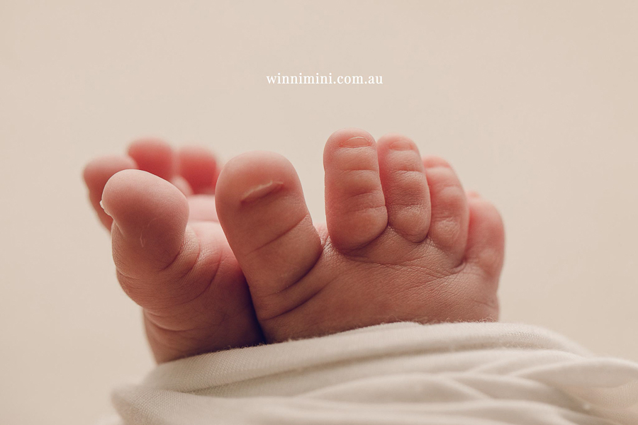 baby maternity family gold coast brisbane newborn baby babies family child families photographer photography photographs photo photographer winni mini tanha basile photo the best amazing upper coomera birth