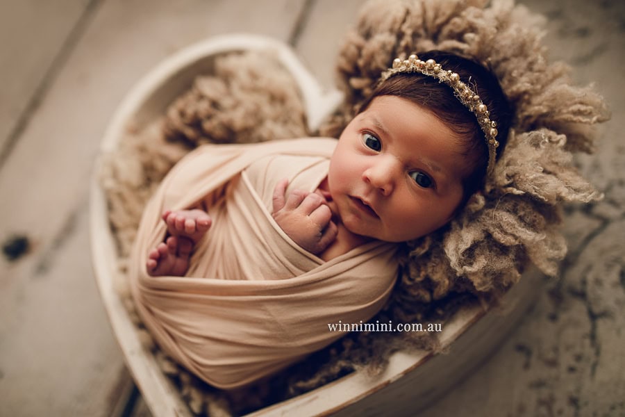 gold coast brisbane newborn baby babies family child families photographer photography photographs photo photographer winni mini tanha basile photo the best amazing upper coomera birth baby