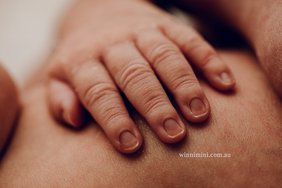 gold coast brisbane newborn baby babies family child families photographer photography photographs photo photographer winni mini tanha basile photo the best amazing upper coomera birth baby