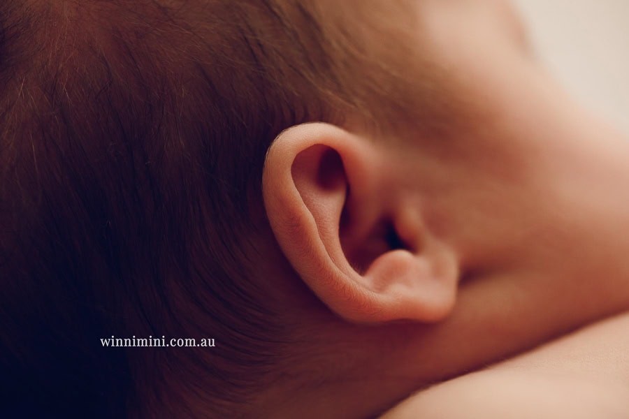 baby maternity family gold coast brisbane newborn baby babies family child families photographer photography photographs photo photographer winni mini tanha basile photo the best amazing upper coomera birth