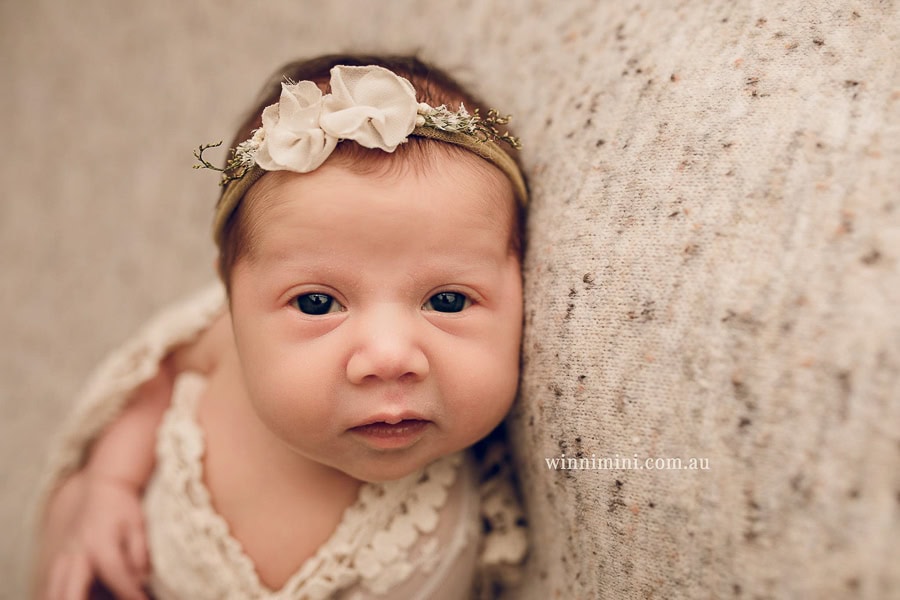 baby maternity family gold coast brisbane newborn baby babies family child families photographer photography photographs photo photographer winni mini tanha basile photo the best amazing upper coomera birth