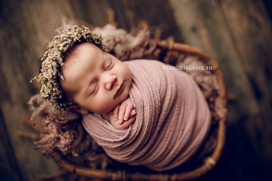 baby maternity family gold coast brisbane newborn baby babies family child families photographer photography photographs photo photographer winni mini tanha basile photo the best amazing upper coomera birth