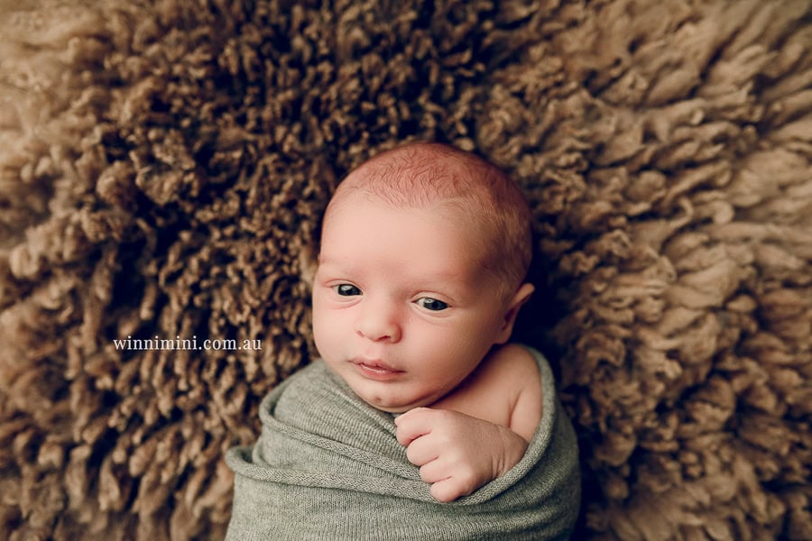 baby maternity family gold coast brisbane newborn baby babies family child families photographer photography photographs photo photographer winni mini tanha basile photo the best amazing upper coomera birth