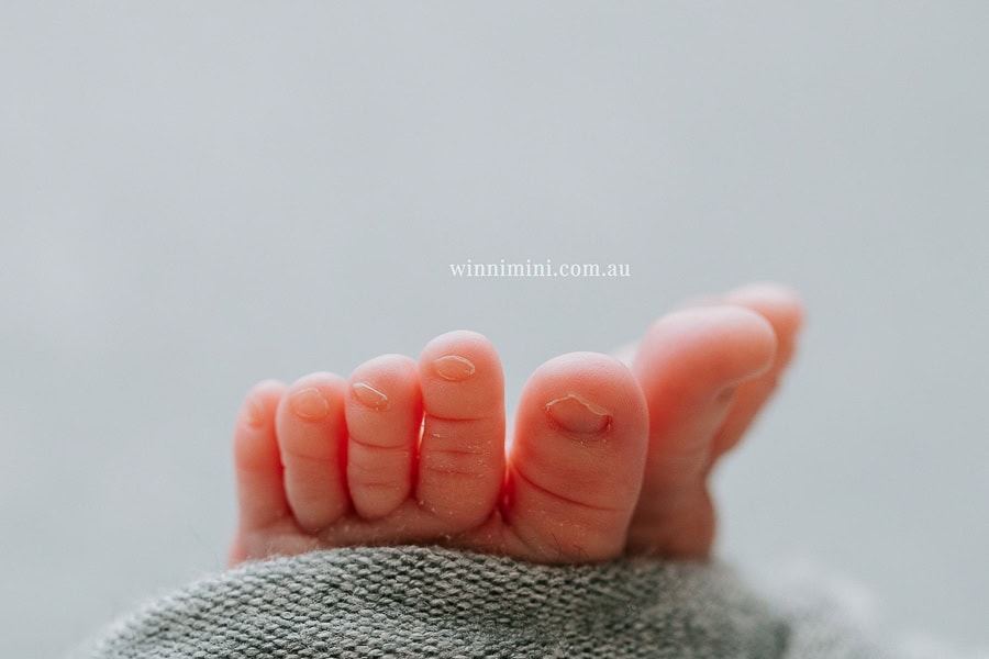 baby maternity family gold coast brisbane newborn baby babies family child families photographer photography photographs photo photographer winni mini tanha basile photo the best amazing upper coomera birth