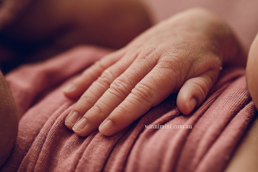 gold coast brisbane newborn baby babies family child families photographer photography photographs photo photographer winni mini tanha basile photo the best amazing upper coomera birth baby