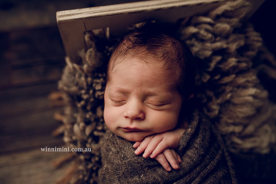 newborn baby family photographer gold coast brisbane babies
