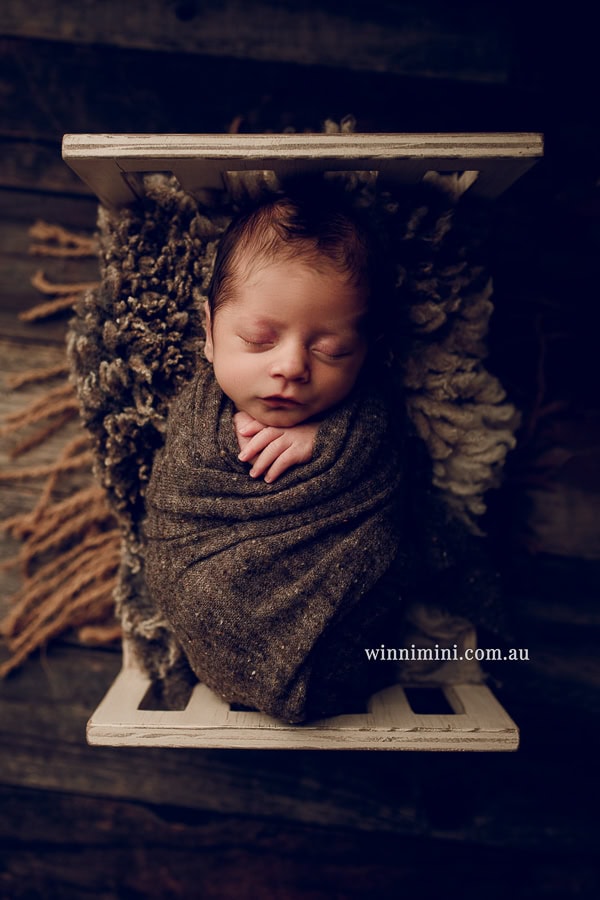 newborn baby family photographer gold coast brisbane babies