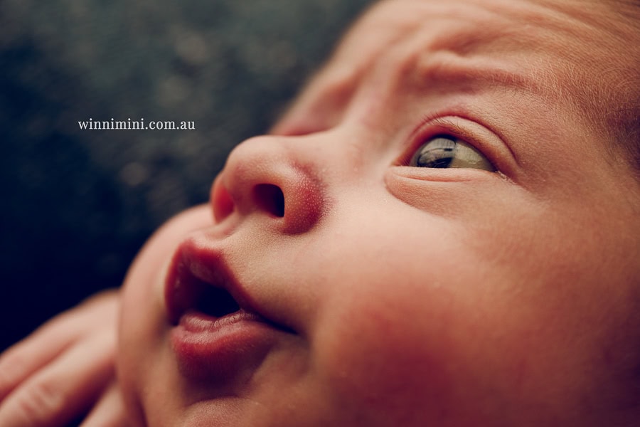 newborn baby family photographer gold coast brisbane babies