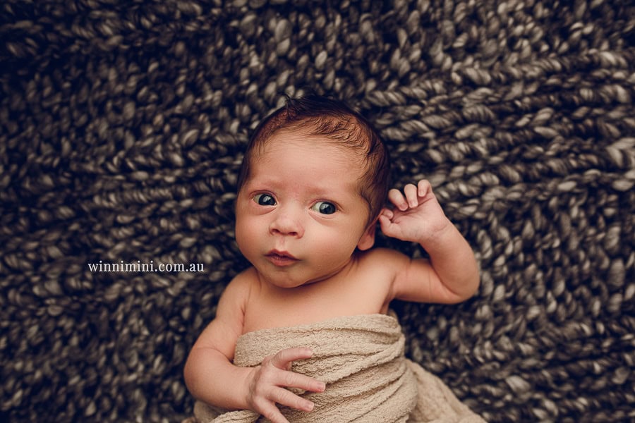 newborn baby family photographer gold coast brisbane babies