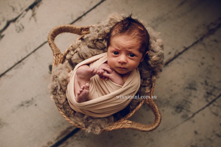 newborn baby family photographer gold coast brisbane babies