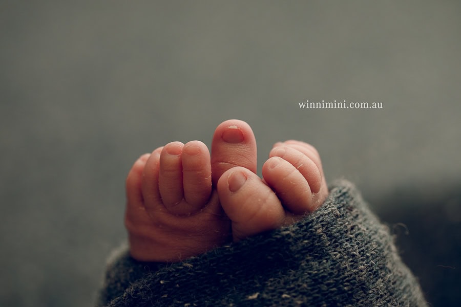 newborn baby family photographer gold coast brisbane babies