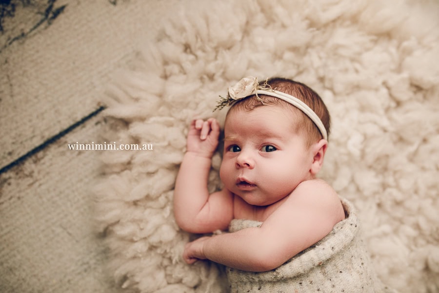 newborn baby family photographer photography photograph photos photo babies gold coast brisbane the best family picture pictures tanha basile winni mini