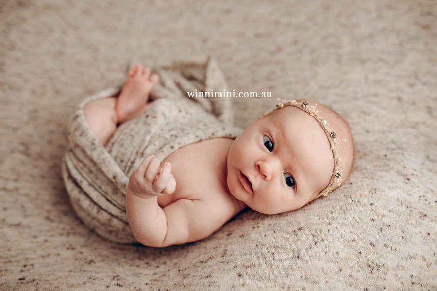 babies newborn baby family photographer photography photograph photos photo babies gold coast brisbane the best family picture pictures tanha basile winni mini