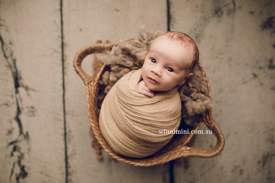 newborn baby family photographer photography photograph photos photo babies gold coast brisbane the best family picture pictures tanha basile winni mini