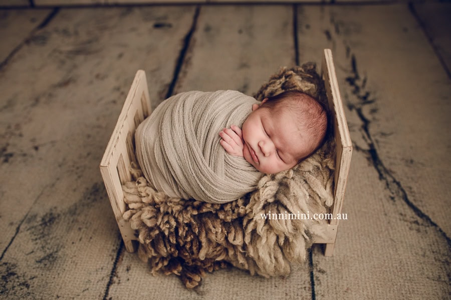 babies newborn baby family photographer photography photograph photos photo babies gold coast brisbane the best family picture pictures tanha basile winni mini