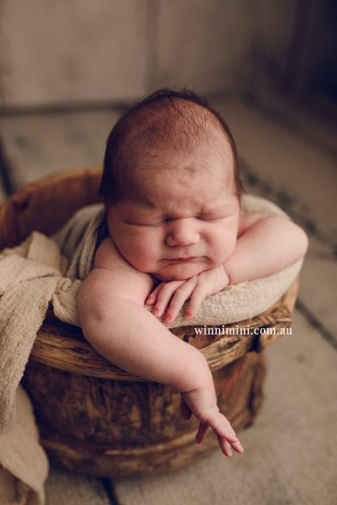 babies newborn baby family photographer photography photograph photos photo babies gold coast brisbane the best family picture pictures tanha basile winni mini