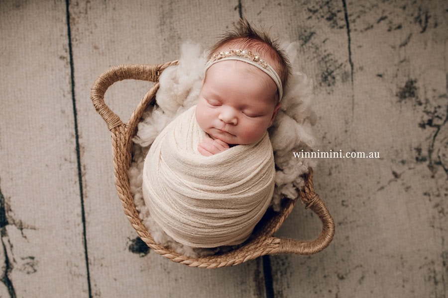 newborn baby family photographer photography photograph photos photo babies gold coast brisbane the best family picture pictures tanha basile winni mini