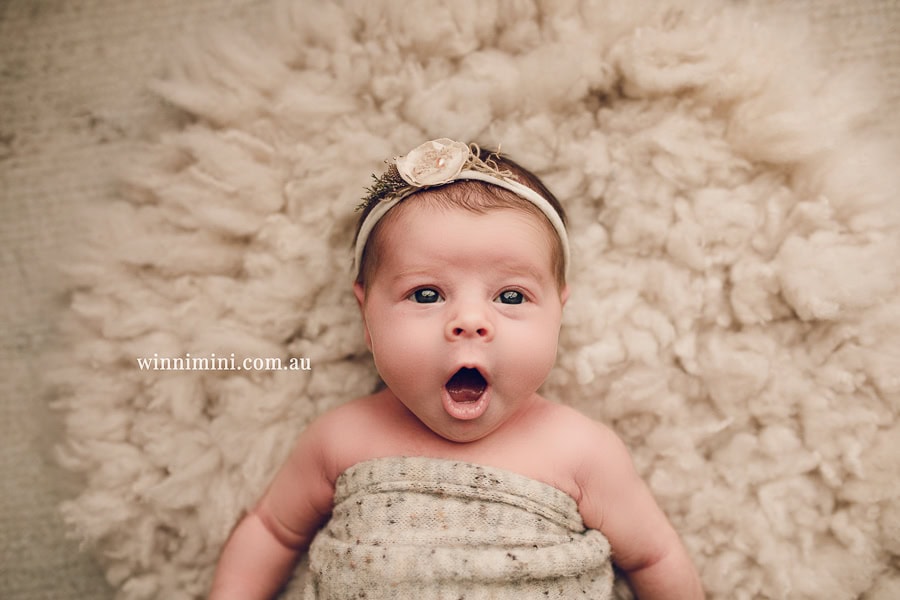 newborn baby family photographer photography photograph photos photo babies gold coast brisbane the best family picture pictures tanha basile winni mini