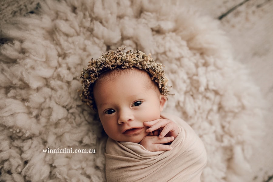 babies newborn baby family photographer photography photograph photos photo babies gold coast brisbane the best family picture pictures tanha basile winni mini