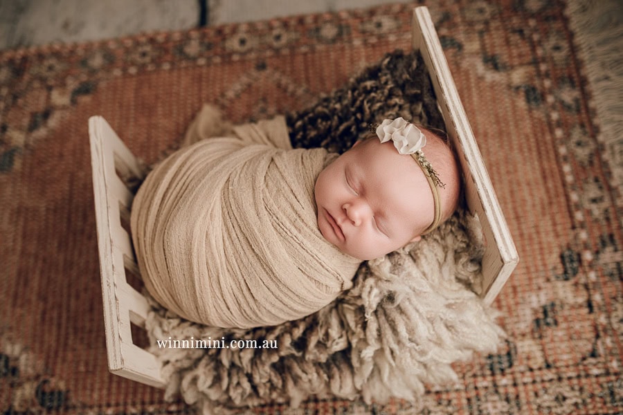 babies newborn baby family photographer photography photograph photos photo babies gold coast brisbane the best family picture pictures tanha basile winni mini