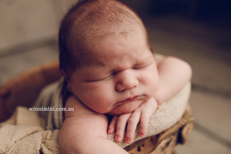 babies newborn baby family photographer photography photograph photos photo babies gold coast brisbane the best family picture pictures tanha basile winni mini
