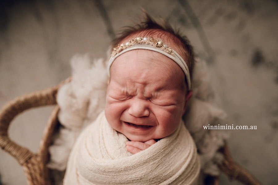 newborn baby family photographer photography photograph photos photo babies gold coast brisbane the best family picture pictures tanha basile winni mini