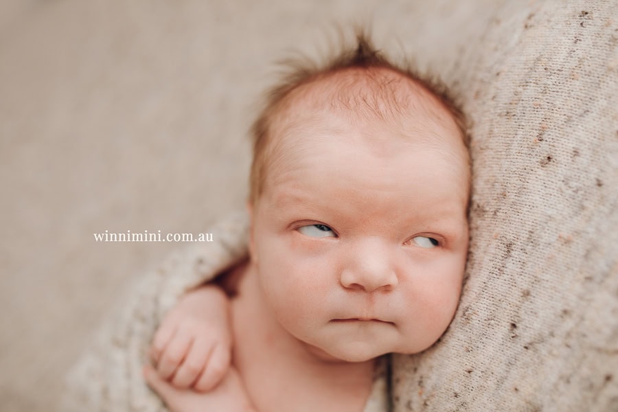 newborn baby family photographer photography photograph photos photo babies gold coast brisbane the best family picture pictures tanha basile winni mini
