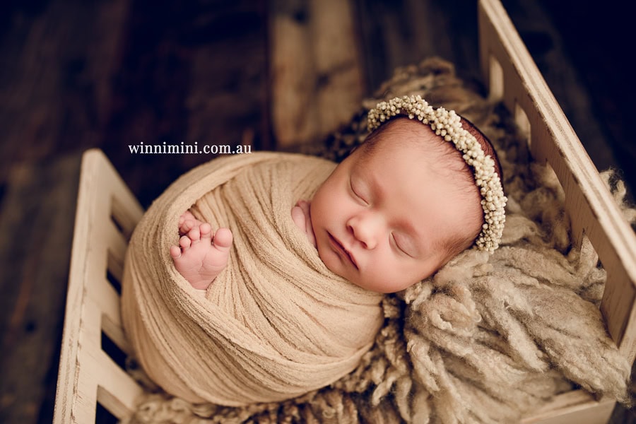 babies newborn baby family photographer photography photograph photos photo babies gold coast brisbane the best family picture pictures tanha basile winni mini