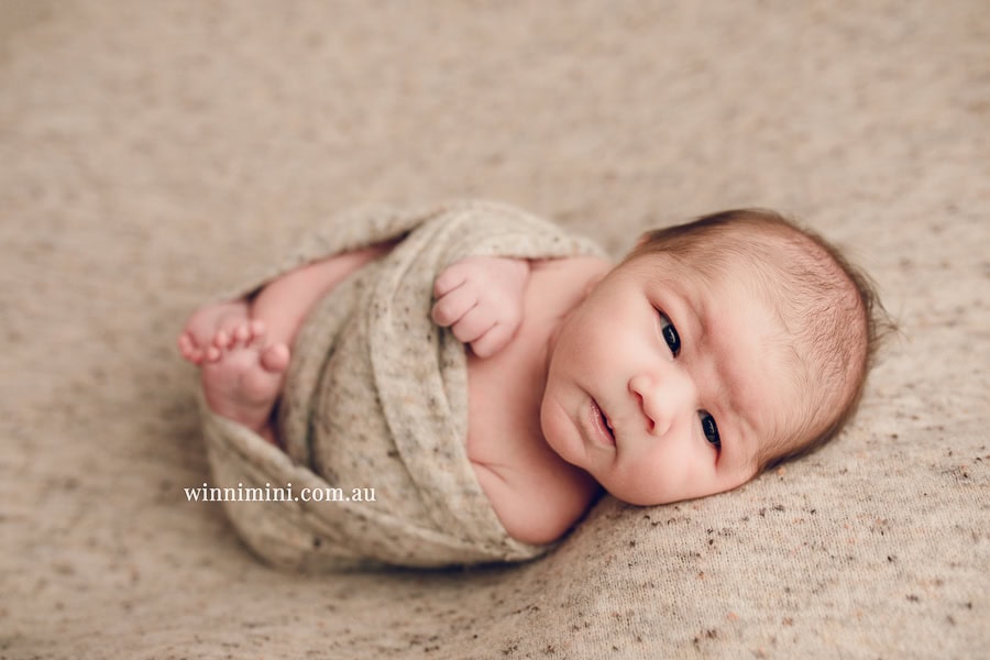 babies newborn baby family photographer photography photograph photos photo babies gold coast brisbane the best family picture pictures tanha basile winni mini