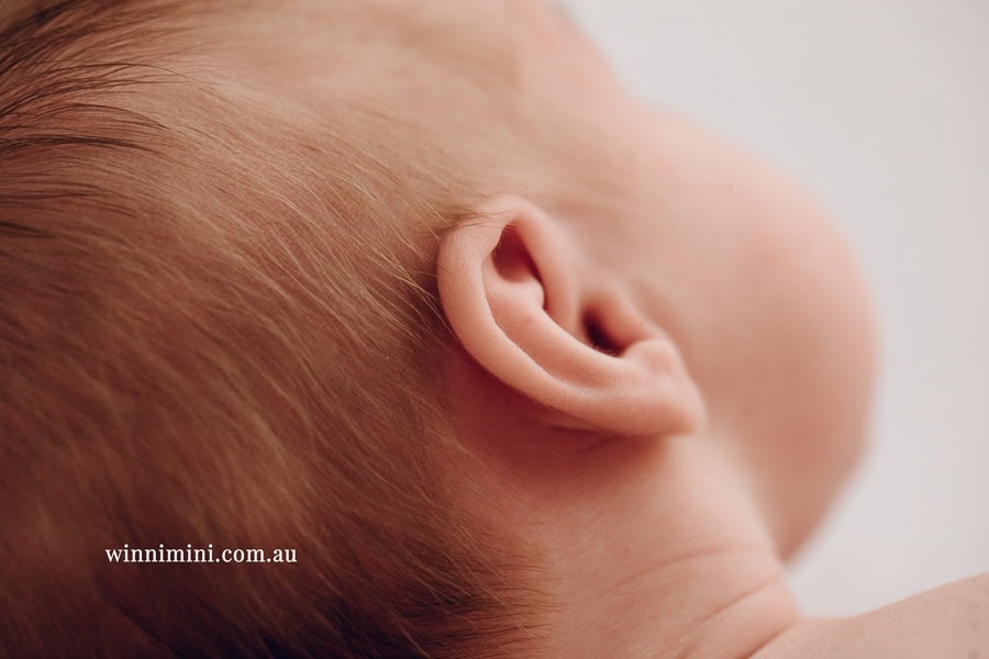 newborn baby family photographer photography photograph photos photo babies gold coast brisbane the best family picture pictures tanha basile winni mini