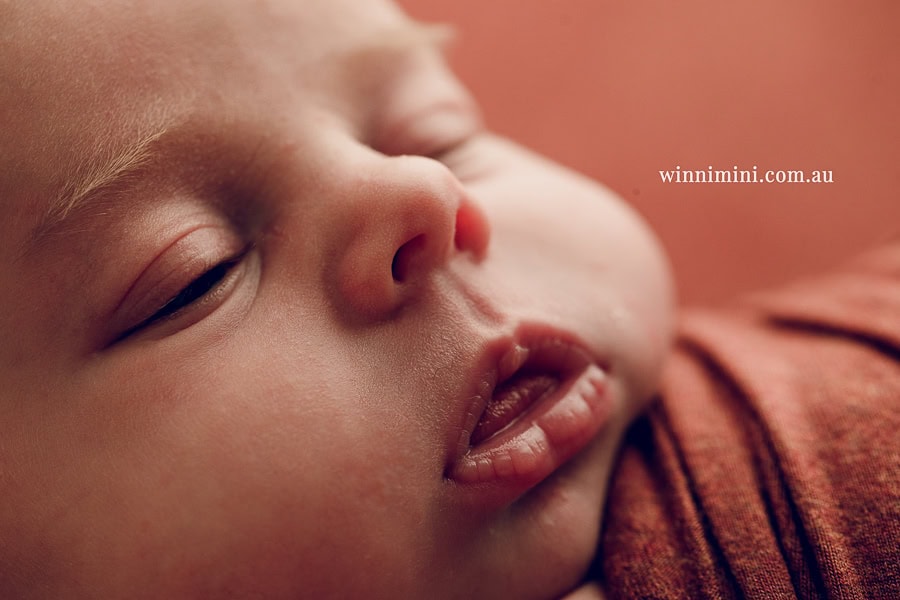 newborn baby family photographer photography photograph photos photo babies gold coast brisbane the best family picture pictures tanha basile winni mini