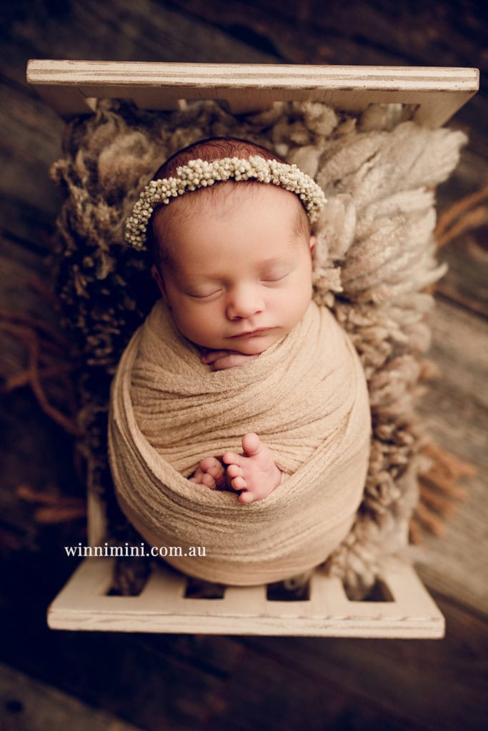 babies newborn baby family photographer photography photograph photos photo babies gold coast brisbane the best family picture pictures tanha basile winni mini