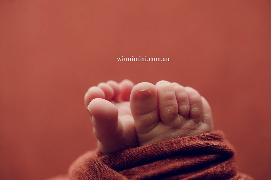 newborn baby family photographer photography photograph photos photo babies gold coast brisbane the best family picture pictures tanha basile winni mini