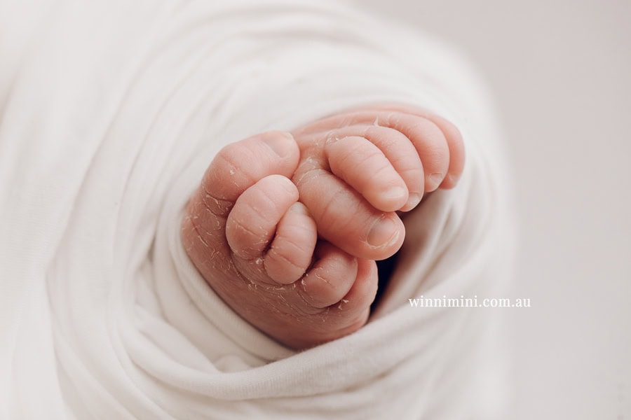 newborn baby family photographer photography photograph photos photo babies gold coast brisbane the best family picture pictures tanha basile winni mini