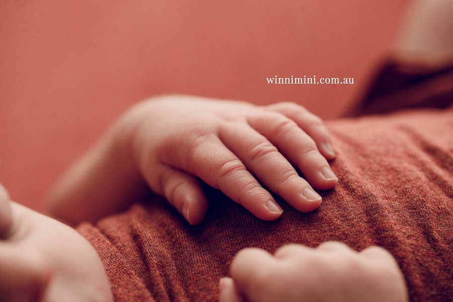newborn baby family photographer photography photograph photos photo babies gold coast brisbane the best family picture pictures tanha basile winni mini