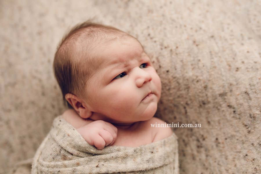 babies newborn baby family photographer photography photograph photos photo babies gold coast brisbane the best family picture pictures tanha basile winni mini