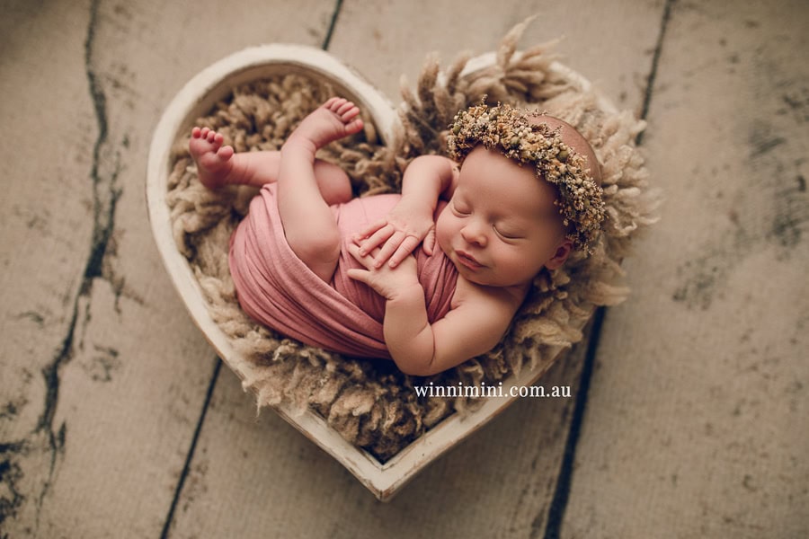 babies newborn baby family photographer photography photograph photos photo babies gold coast brisbane the best family picture pictures tanha basile winni mini