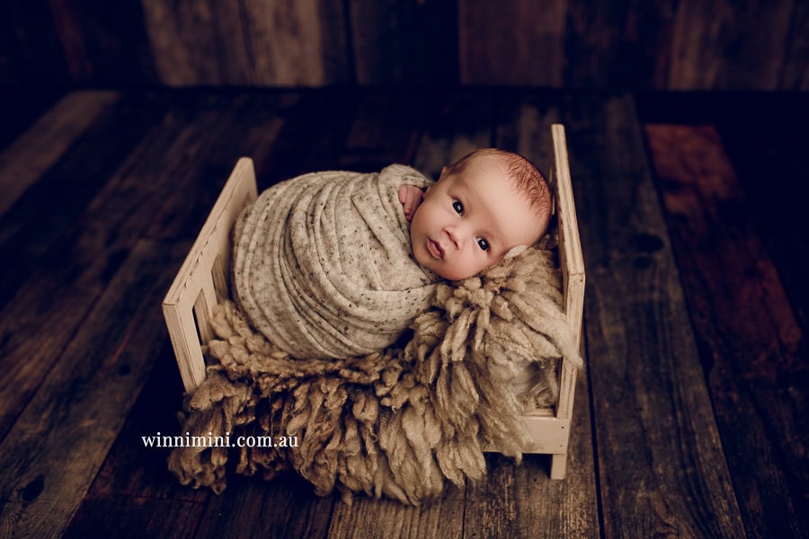 newborn baby family photographer photography photograph photos photo babies gold coast brisbane the best family picture pictures tanha basile winni mini