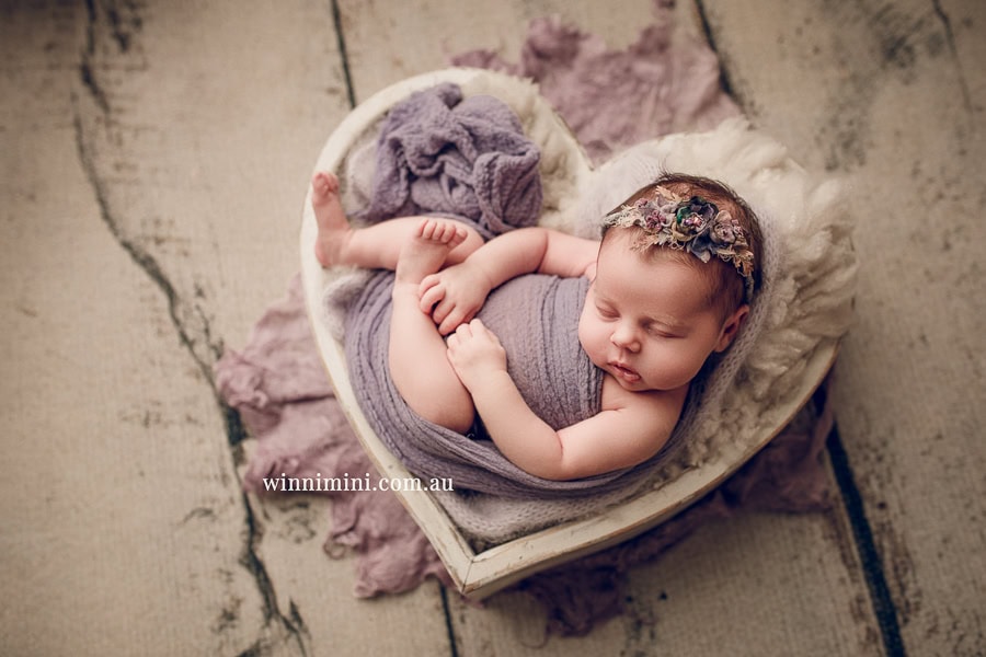 newborn baby family photographer photography photograph photos photo babies gold coast brisbane the best family picture pictures tanha basile winni mini