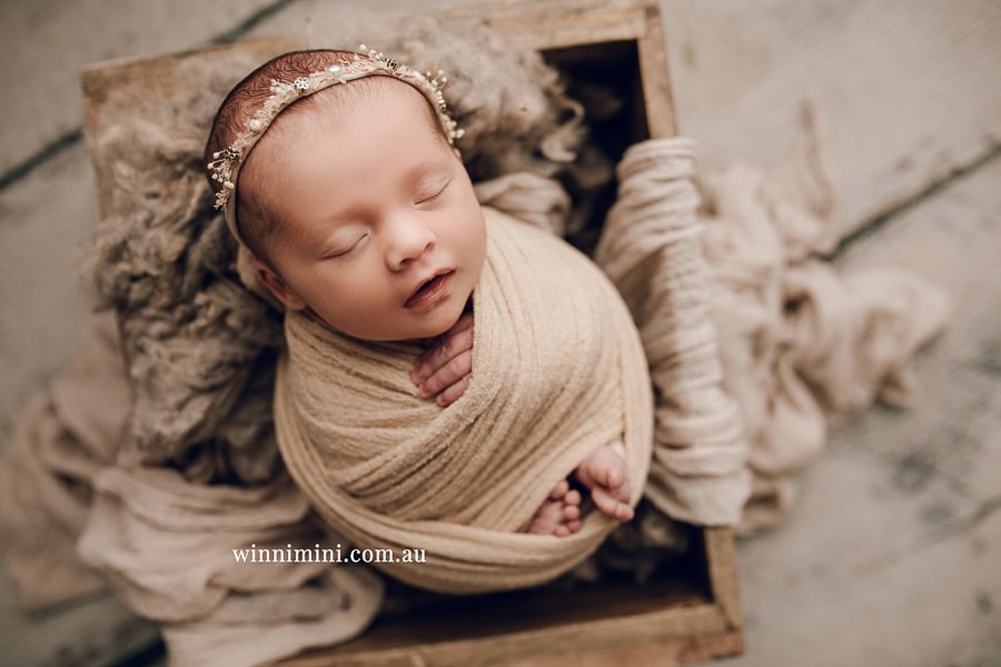 babies newborn baby family photographer photography photograph photos photo babies gold coast brisbane the best family picture pictures tanha basile winni mini