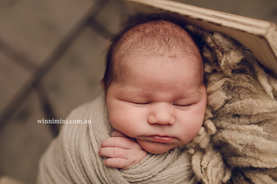 babies newborn baby family photographer photography photograph photos photo babies gold coast brisbane the best family picture pictures tanha basile winni mini
