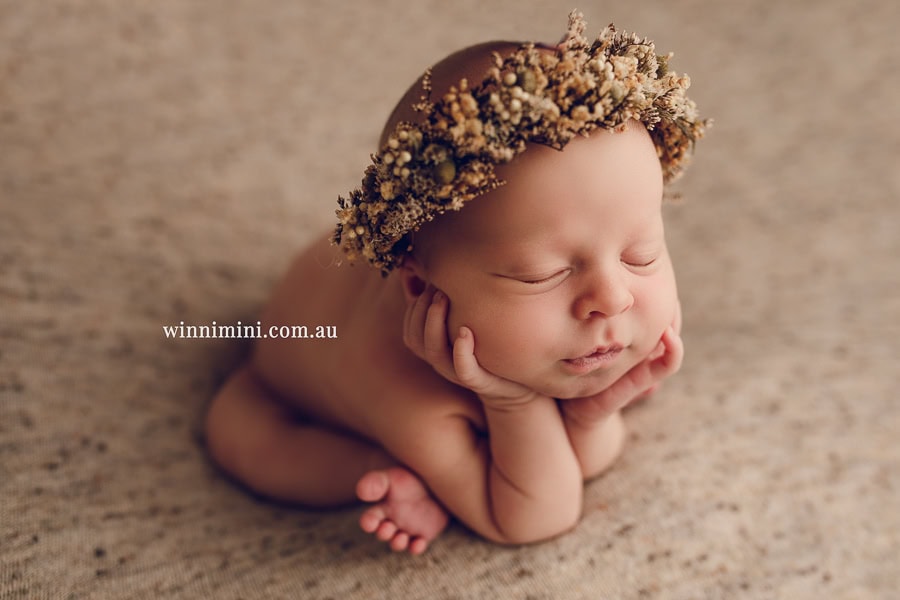 babies newborn baby family photographer photography photograph photos photo babies gold coast brisbane the best family picture pictures tanha basile winni mini