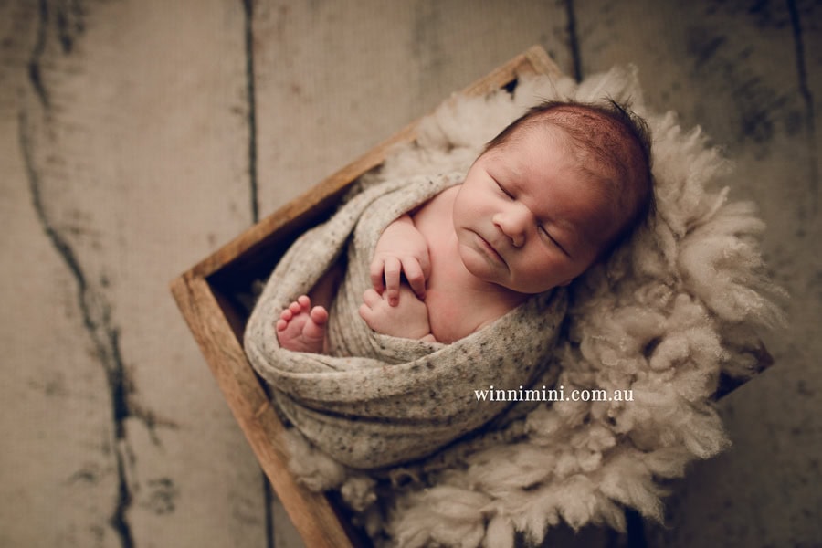 babies newborn baby family photographer photography photograph photos photo babies gold coast brisbane the best family picture pictures tanha basile winni mini
