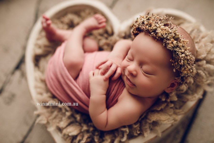babies newborn baby family photographer photography photograph photos photo babies gold coast brisbane the best family picture pictures tanha basile winni mini