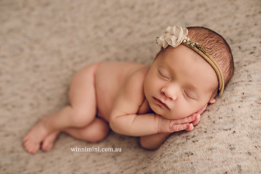 babies newborn baby family photographer photography photograph photos photo babies gold coast brisbane the best family picture pictures tanha basile winni mini